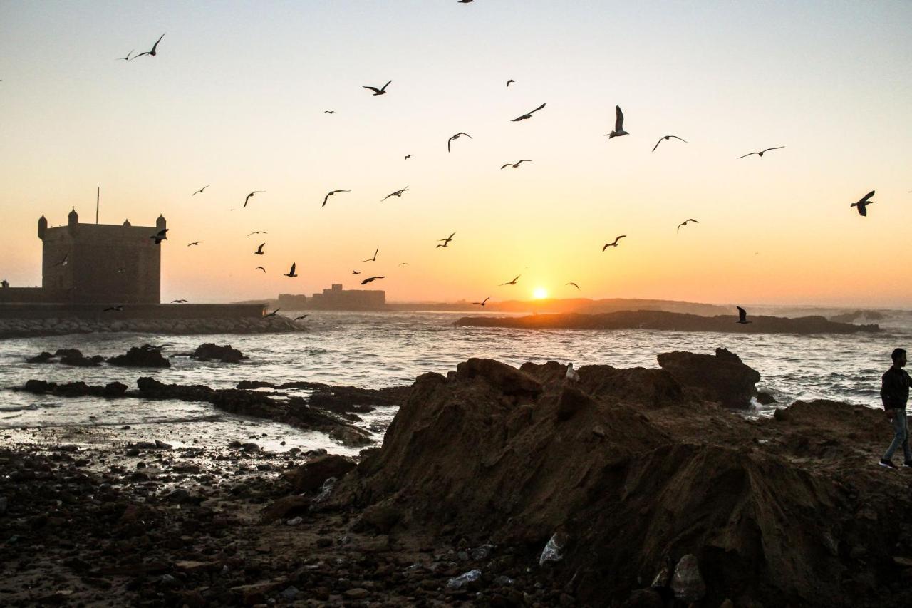The Chill Art Hostel Essaouira Luaran gambar